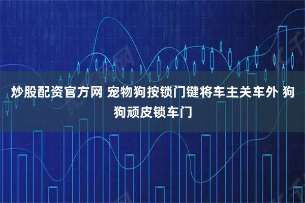 炒股配资官方网 宠物狗按锁门键将车主关车外 狗狗顽皮锁车门